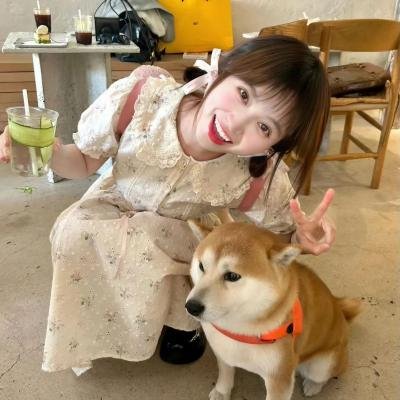 羊妈妈与狮子
